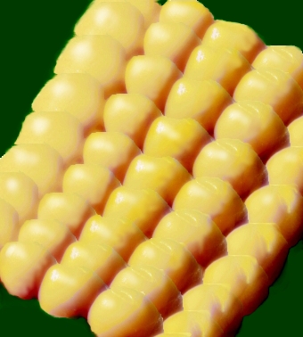 Creation of CORNY: Step 7
